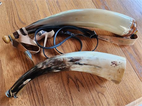 2- Vintage Animal Horns