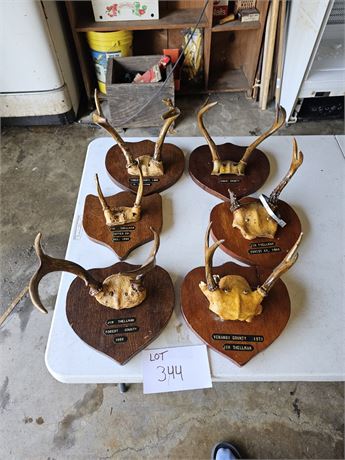 Mixed Size Deer Antler Lot