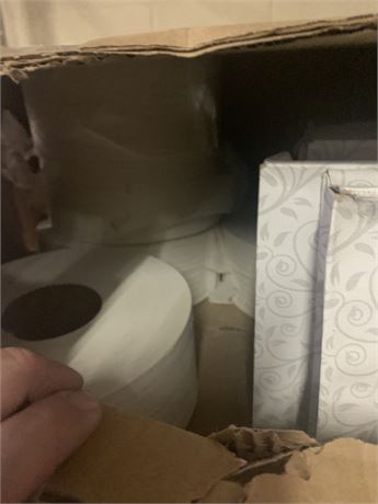 Toilet Tissue Paper Large Rolls and Tissue Box Lot