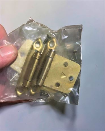 Heavy-Duty Metal Hinge Lot (Various Types) (1 Box)