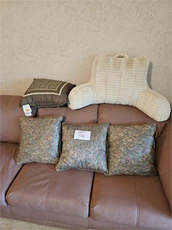 Mixed Throw Pillows & Back Pillow