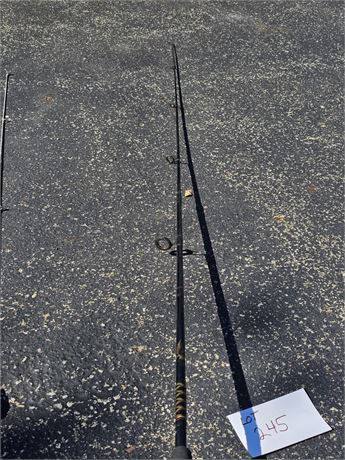 Zebco Cardinal 3 Reel & Pole