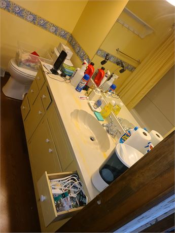 Bathroom Cleanout : Health & Beauty / Medical / Cleaners & More