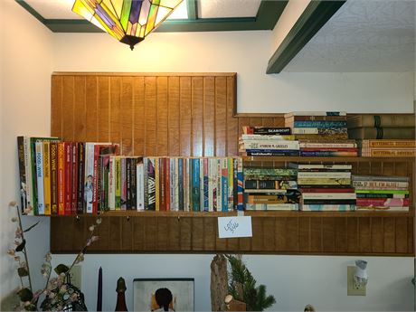 Book Lot: Cookbooks / Novels / History & More