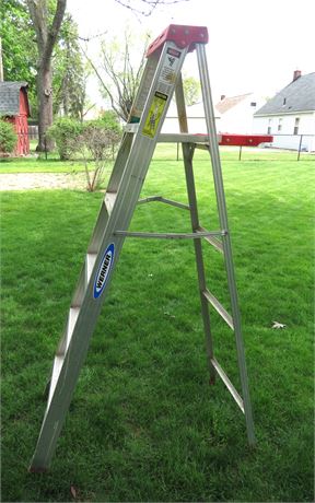 Werner 6' Aluminum Ladder