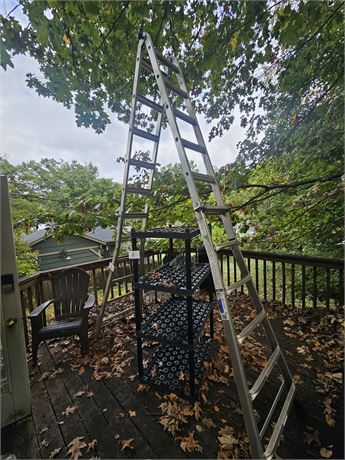 Werner 300lbs Scaffold Ladder 25'