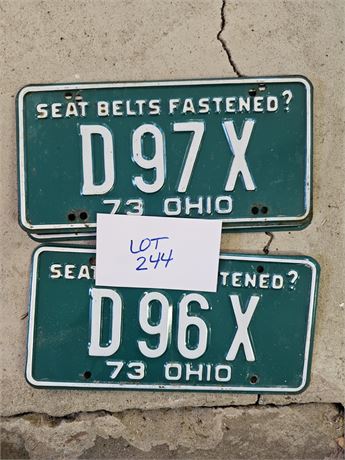 Vintage 1973 Consecutive Numbers License Plates