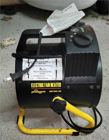 Electric Fan Heater