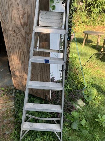 Silver Aluminum Step Ladder