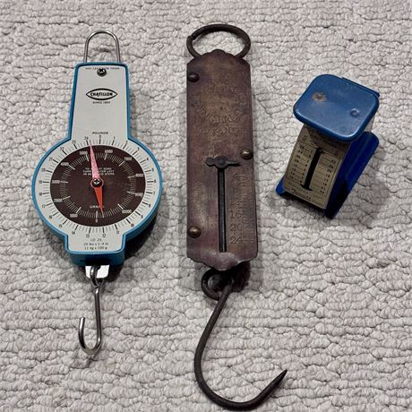 Collectible Vintage Scales