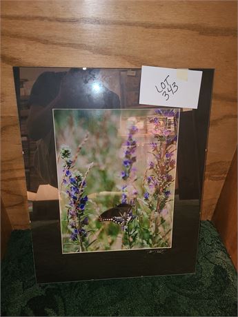 Signed Butterfly Photo