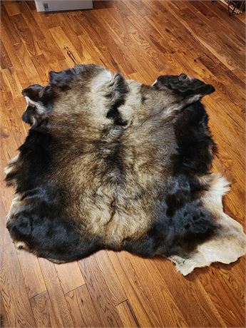 Bear Hide Fur Skin Pelt