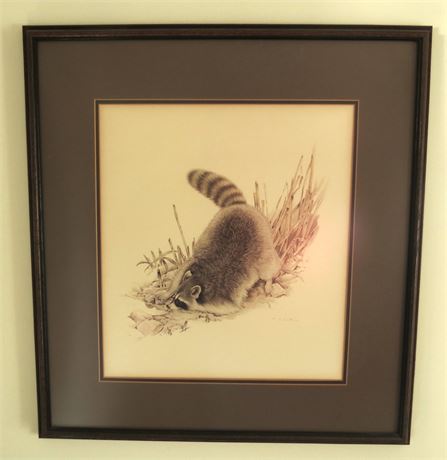 Raccoon Print