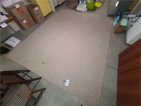 10ftx9.5ft Berber Area Rug