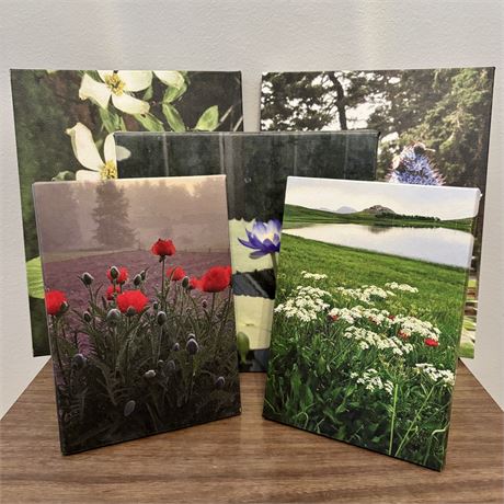 Five Wrapped Canvas Prints of Nature Photography (Like New)