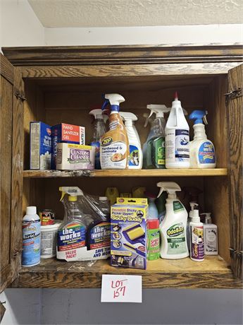 Cupboard Cleanout- Cleaners, Chemicals & More
