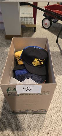 Large Box Of Mixed Trucker/Ball Caps- Company Advertising, States & Amusement Tr